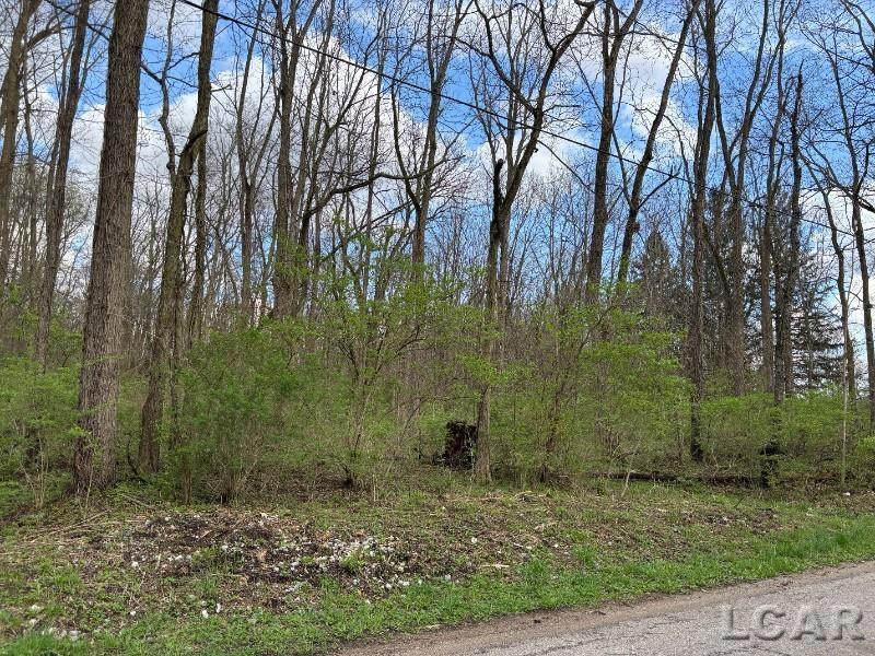 0 Black Highway, Adrian, MI 49221