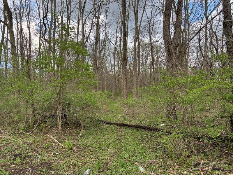 0 Black Highway, Adrian, MI 49221 — Photo 2