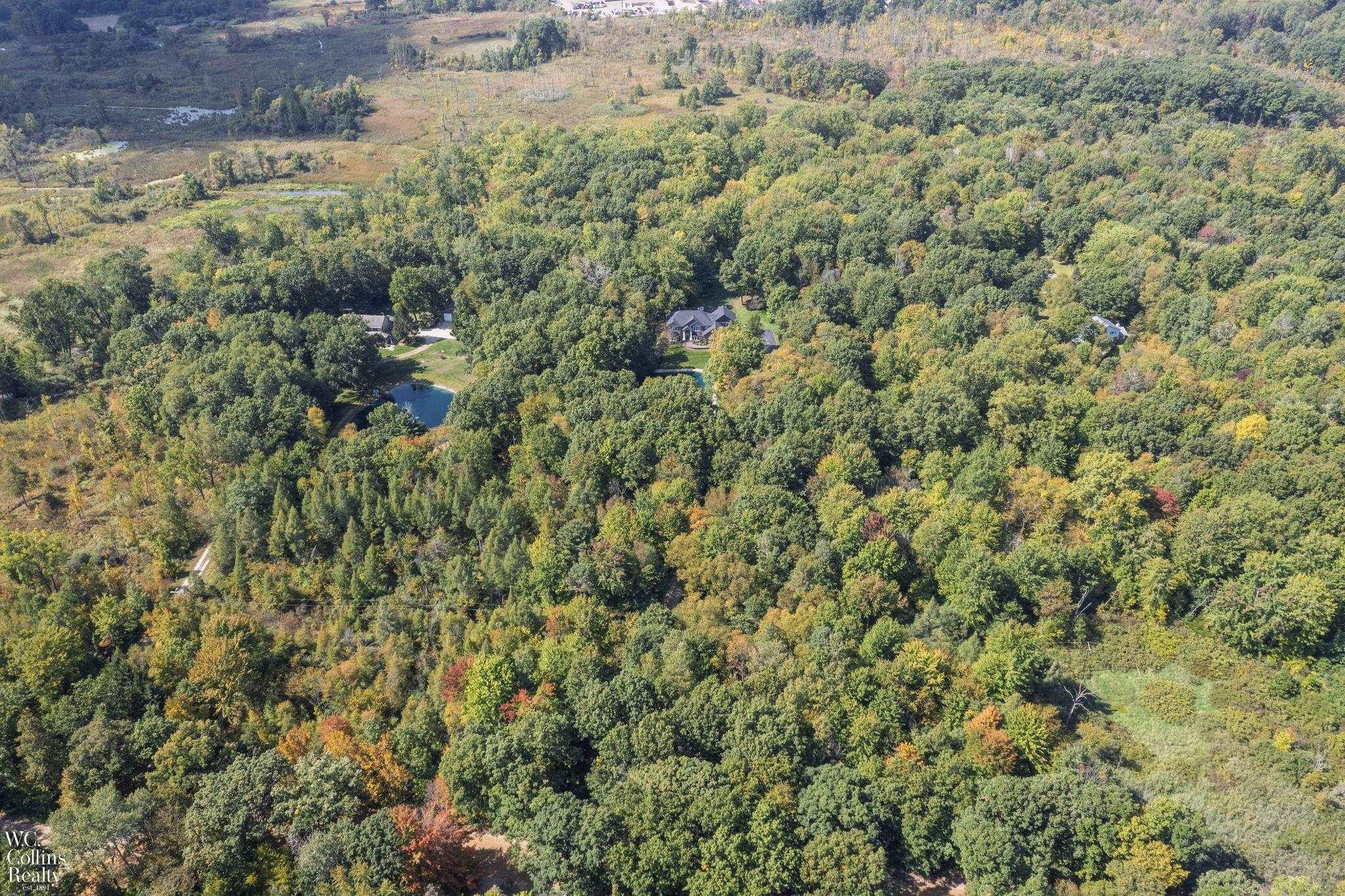 438 State Park Rd Road, Ortonville, MI 48462 — Photo 4