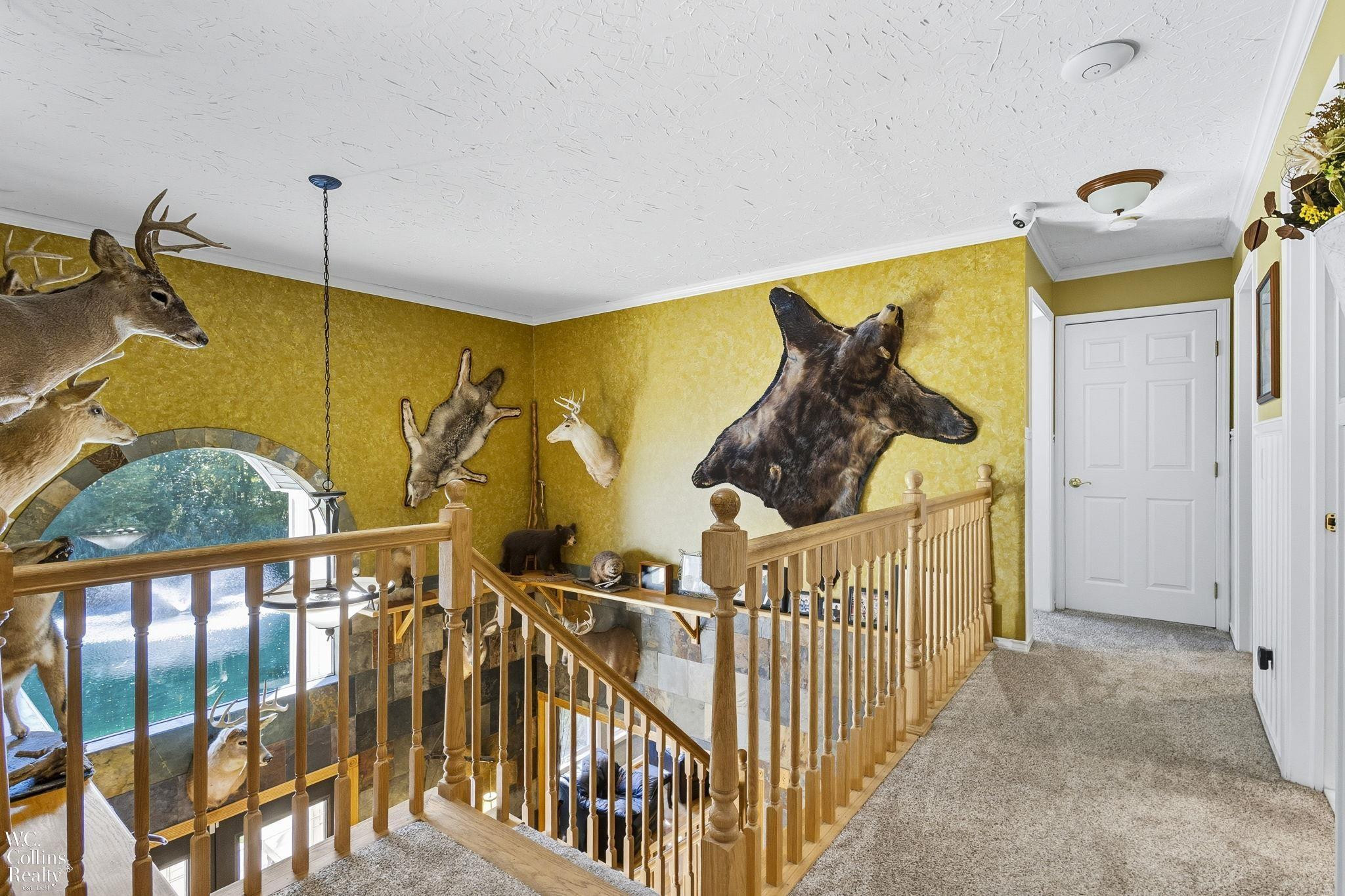 438 State Park Rd Road, Ortonville, MI 48462 — Photo 28