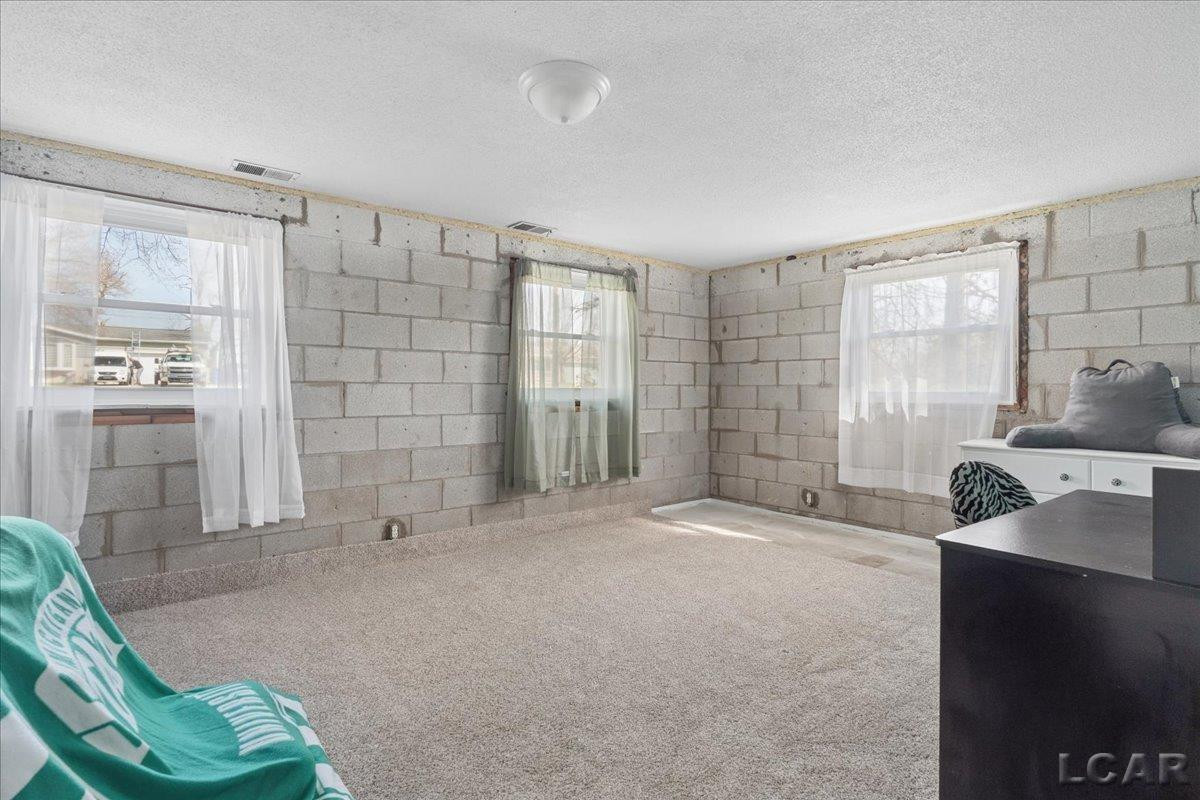 264 Normandy Drive, Onsted, MI 49265 — Photo 43
