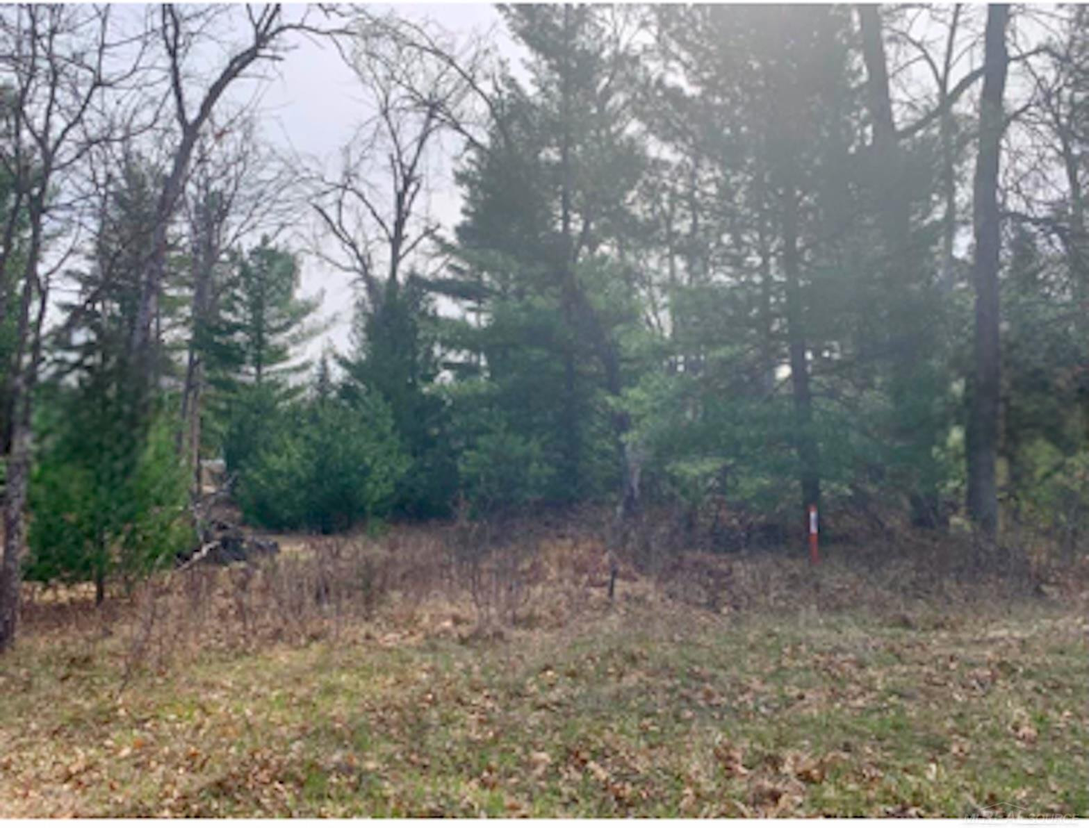Pinecone Court, Prudenville, MI 48651 — Photo 2