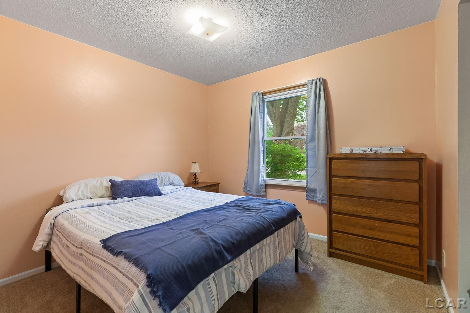 902 N Union Street, Tecumseh, MI 49286 — Photo 14