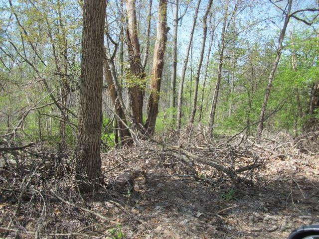 Fairview Avenue, Jackson, MI 49201 — Photo 2