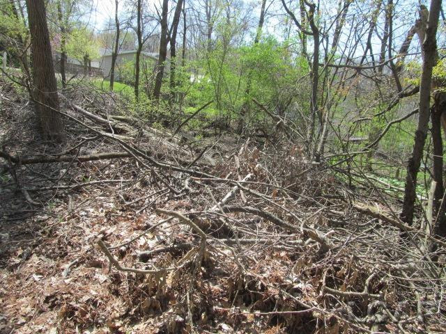 Fairview Avenue, Jackson, MI 49201 — Photo 3