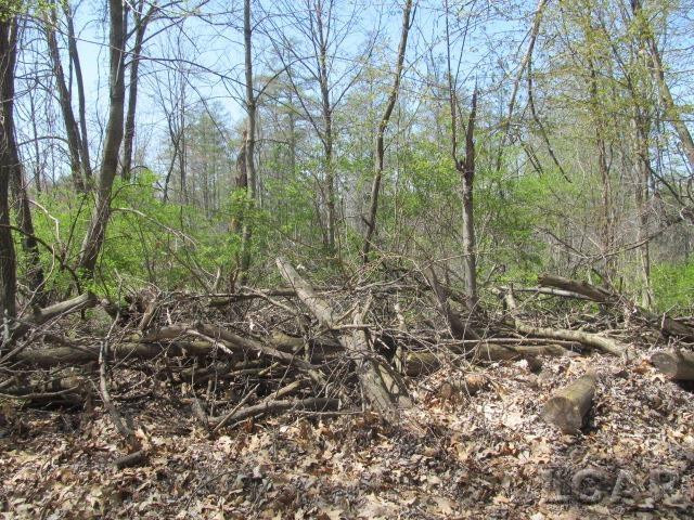 Fairview Avenue, Jackson, MI 49201 — Photo 4