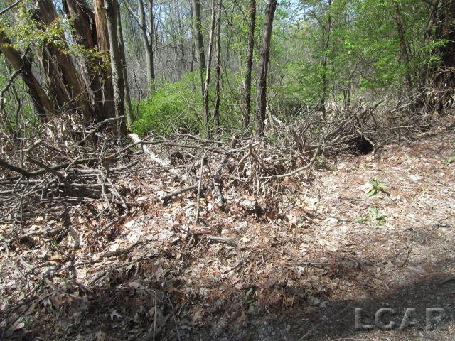 Fairview Avenue, Jackson, MI 49201 — Photo 6