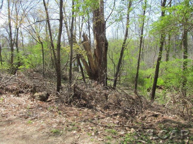 Fairview Avenue, Jackson, MI 49201 — Photo 7
