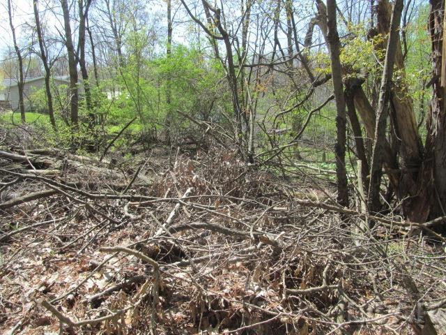 Fairview Avenue, Jackson, MI 49201 — Photo 8