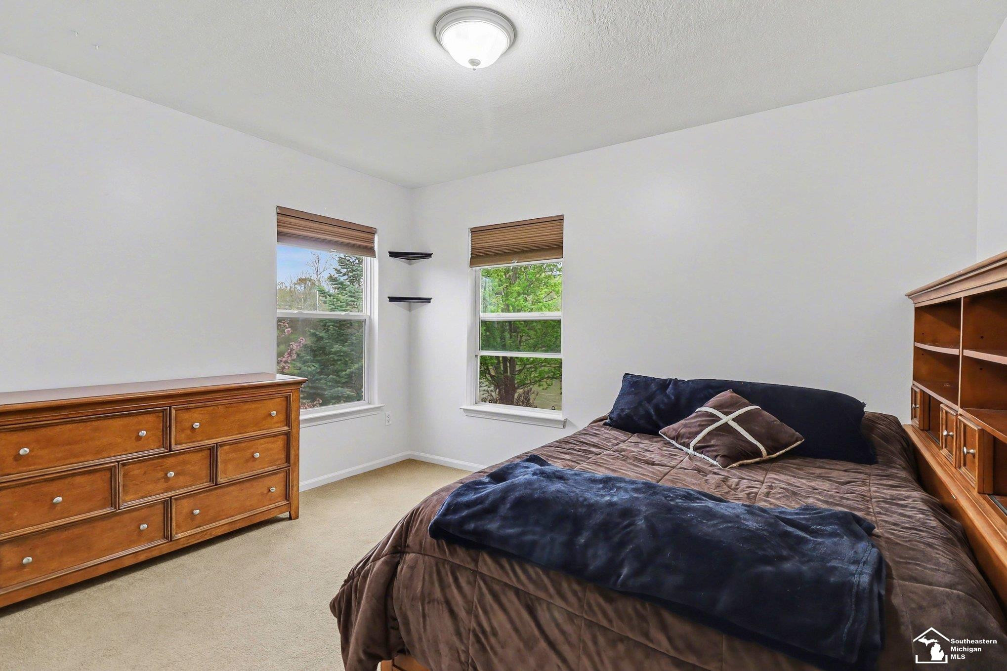 23728 W Creek Drive, New Boston, MI 48164 — Photo 16