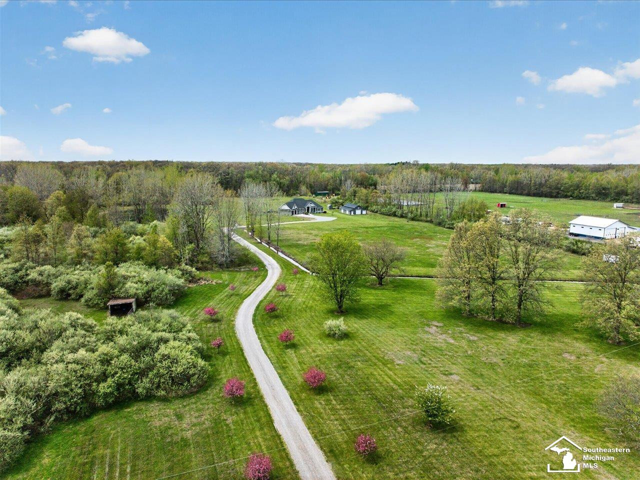 5420 Summerfield Road, Petersburg, MI 49270 — Photo 4