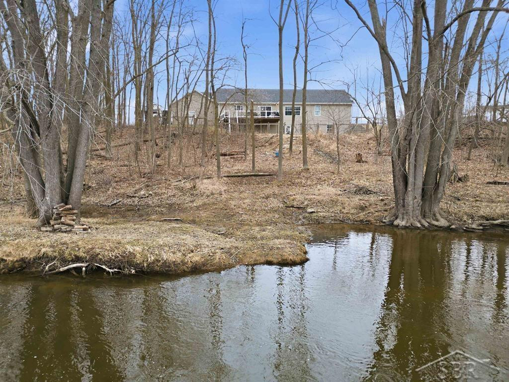 2041 W Pine River Road, Breckenridge, MI 48615 — Photo 5