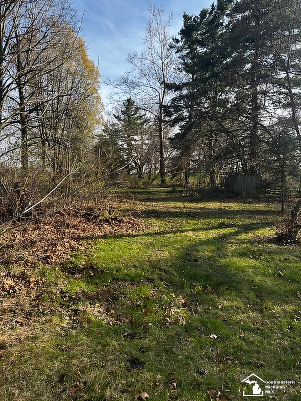 12933 Lulu Road, Ida, MI 48140 — Photo 17