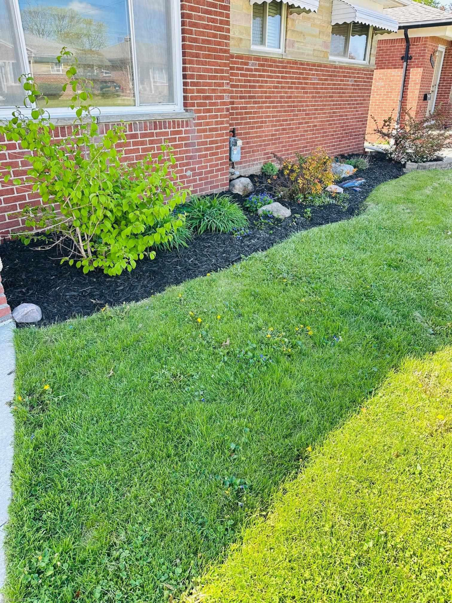 25925 Harmon Street, Saint Clair Shores, MI 48081 — Photo 5