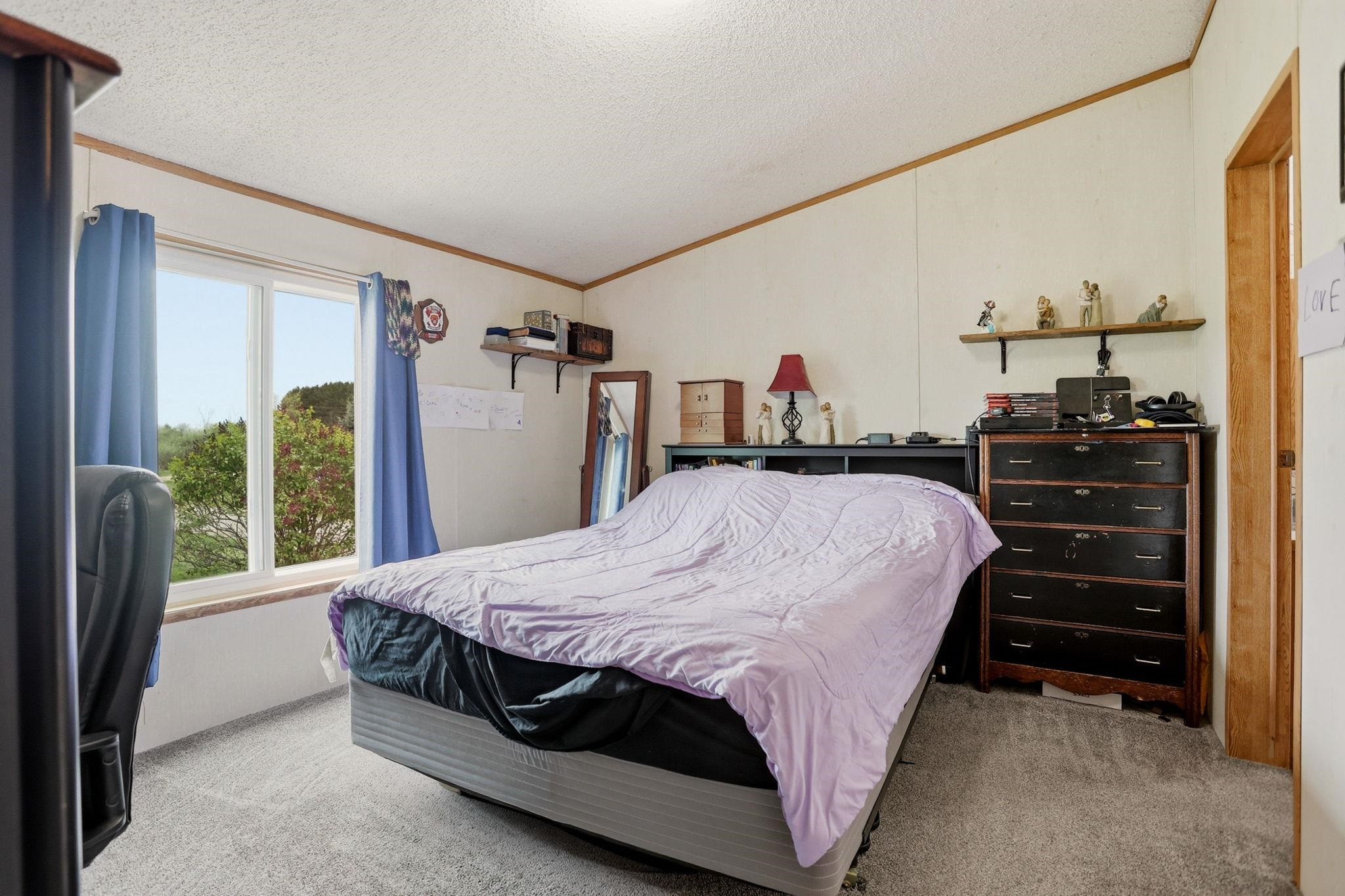 14686 W Burt Road, Chesaning, MI 48616 — Photo 17