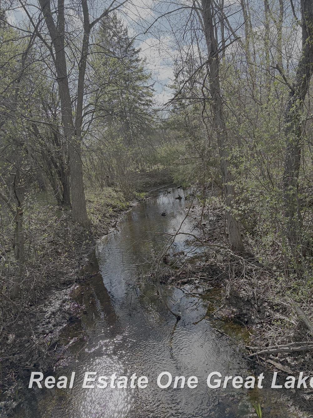 6000 Lange Road, Birch Run, MI 48415 — Photo 2