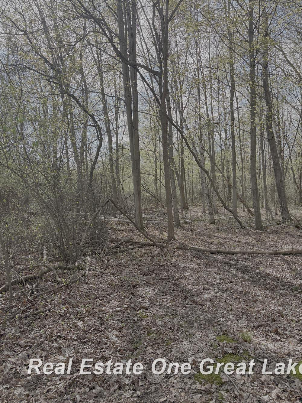 6000 Lange Road, Birch Run, MI 48415 — Photo 3