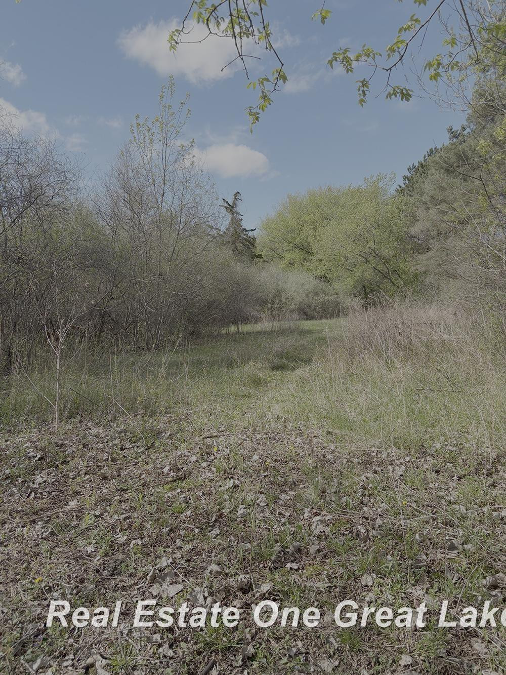 6000 Lange Road, Birch Run, MI 48415 — Photo 10