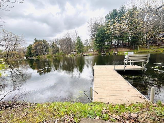 9949 Indian Trail, Montgomery, MI 49255 — Photo 5