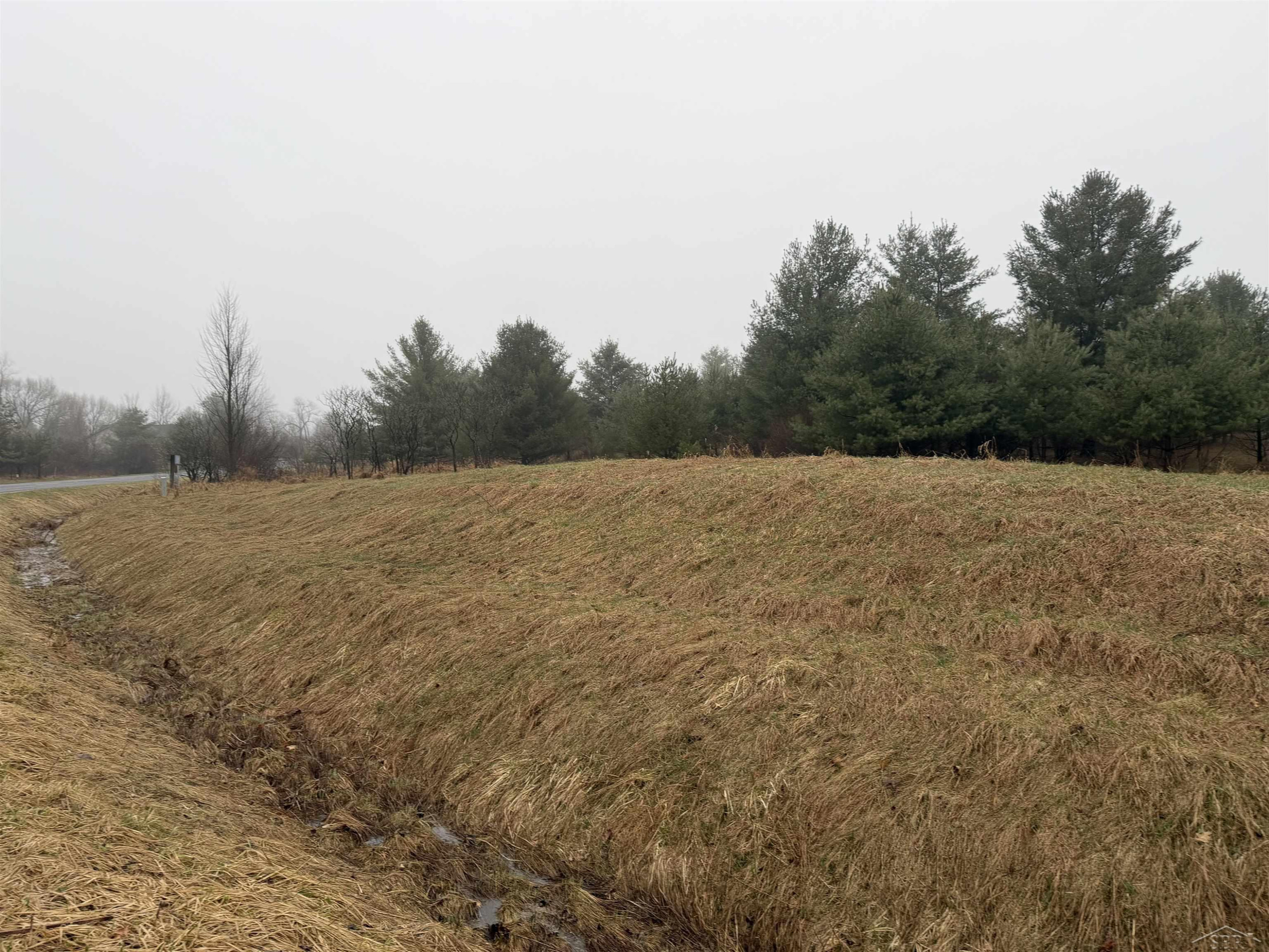Track Iron Trail, Gladwin, MI 48624 — Photo 6