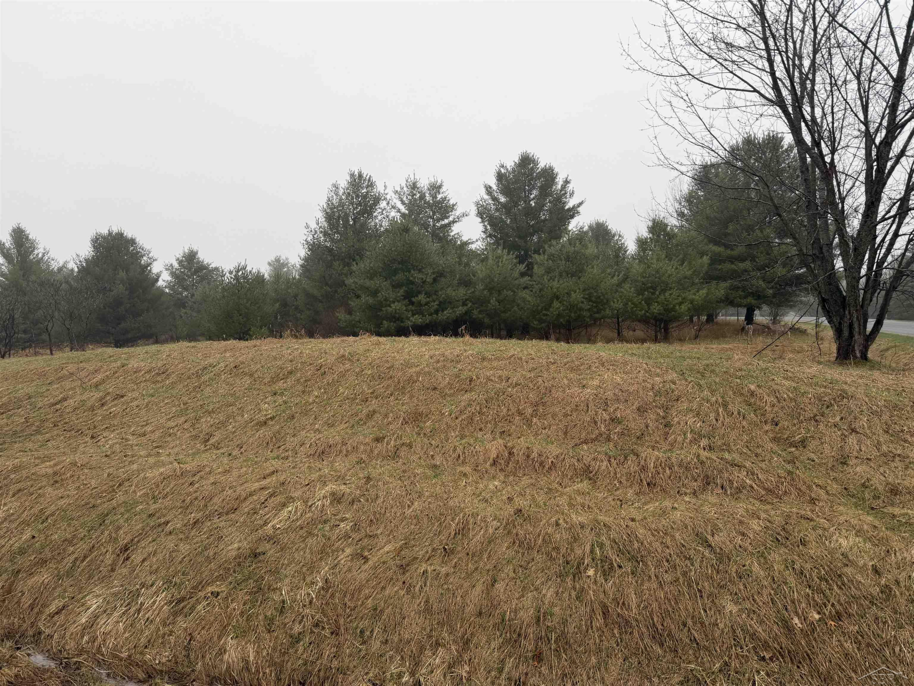 Track Iron Trail, Gladwin, MI 48624 — Photo 7