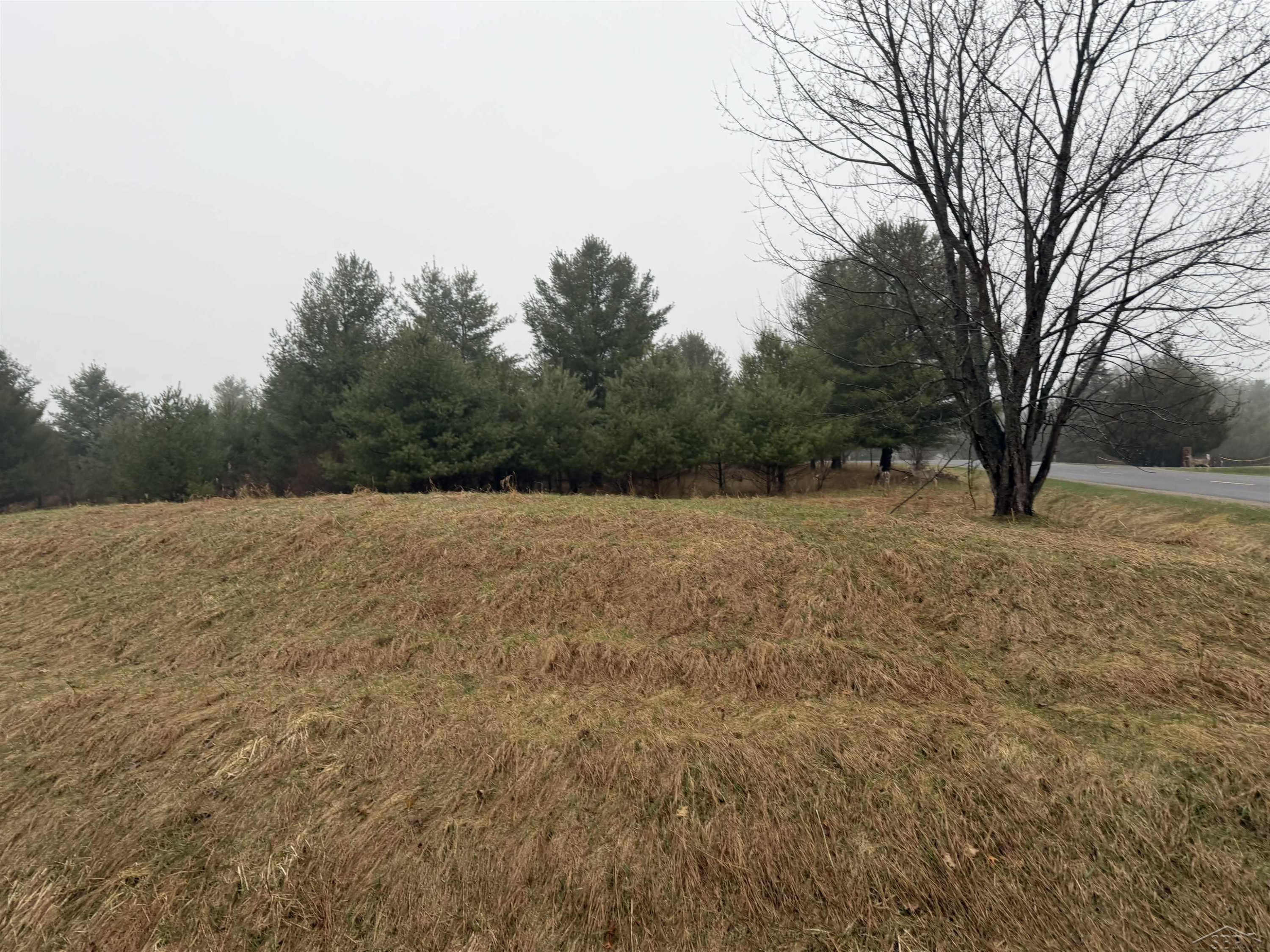 Track Iron Trail, Gladwin, MI 48624 — Photo 8