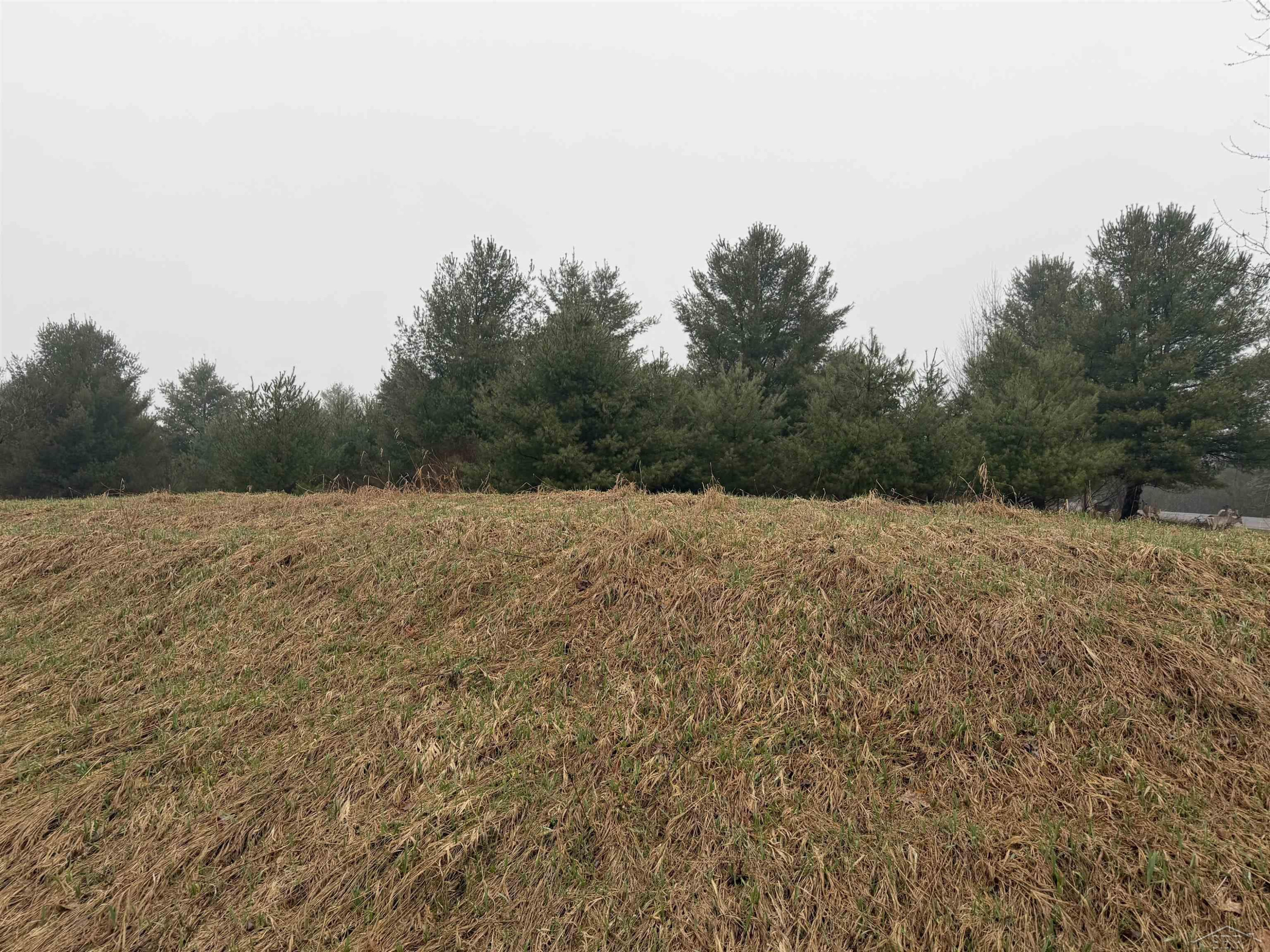 Track Iron Trail, Gladwin, MI 48624 — Photo 9