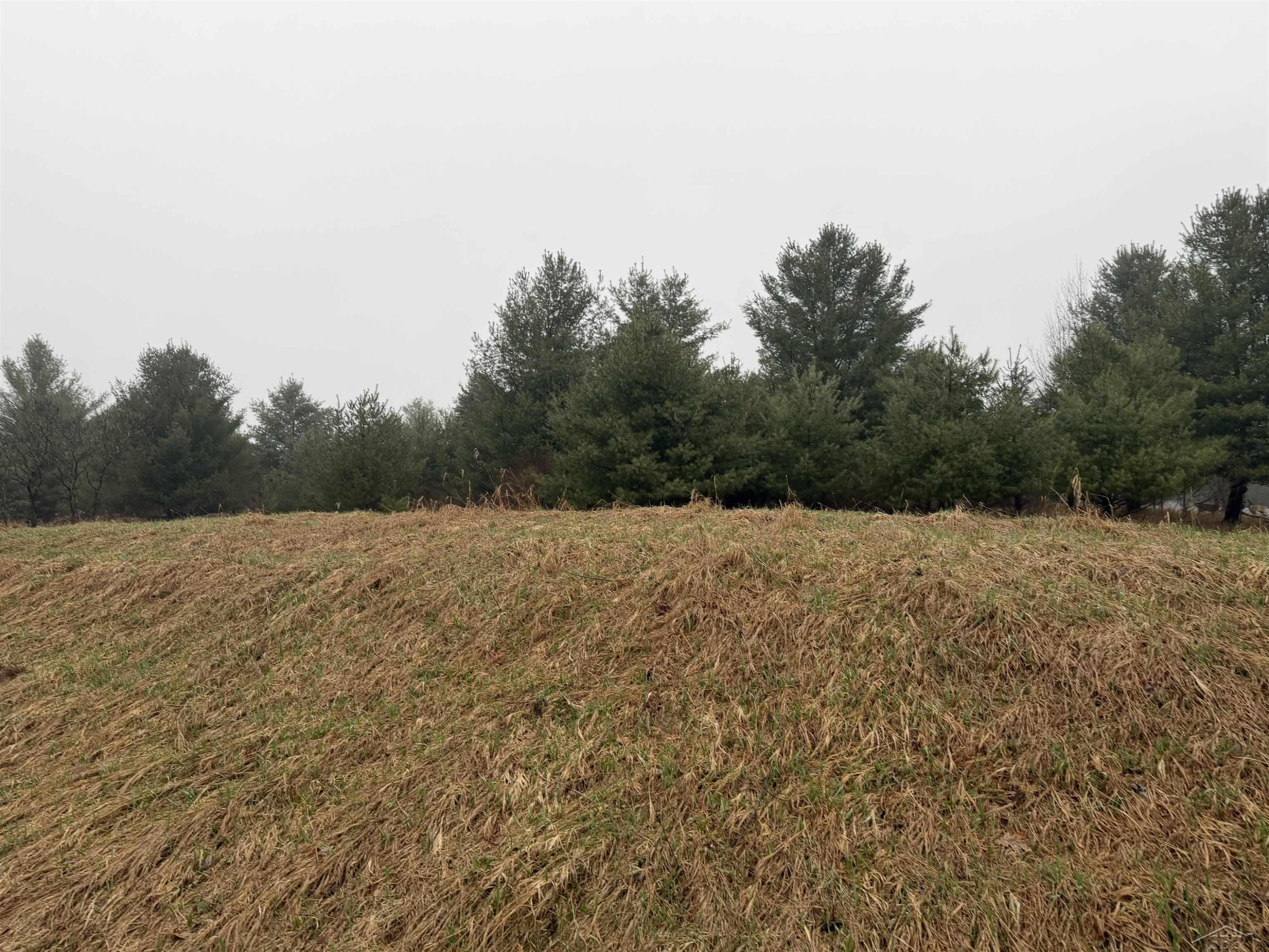 Track Iron Trail, Gladwin, MI 48624 — Photo 10