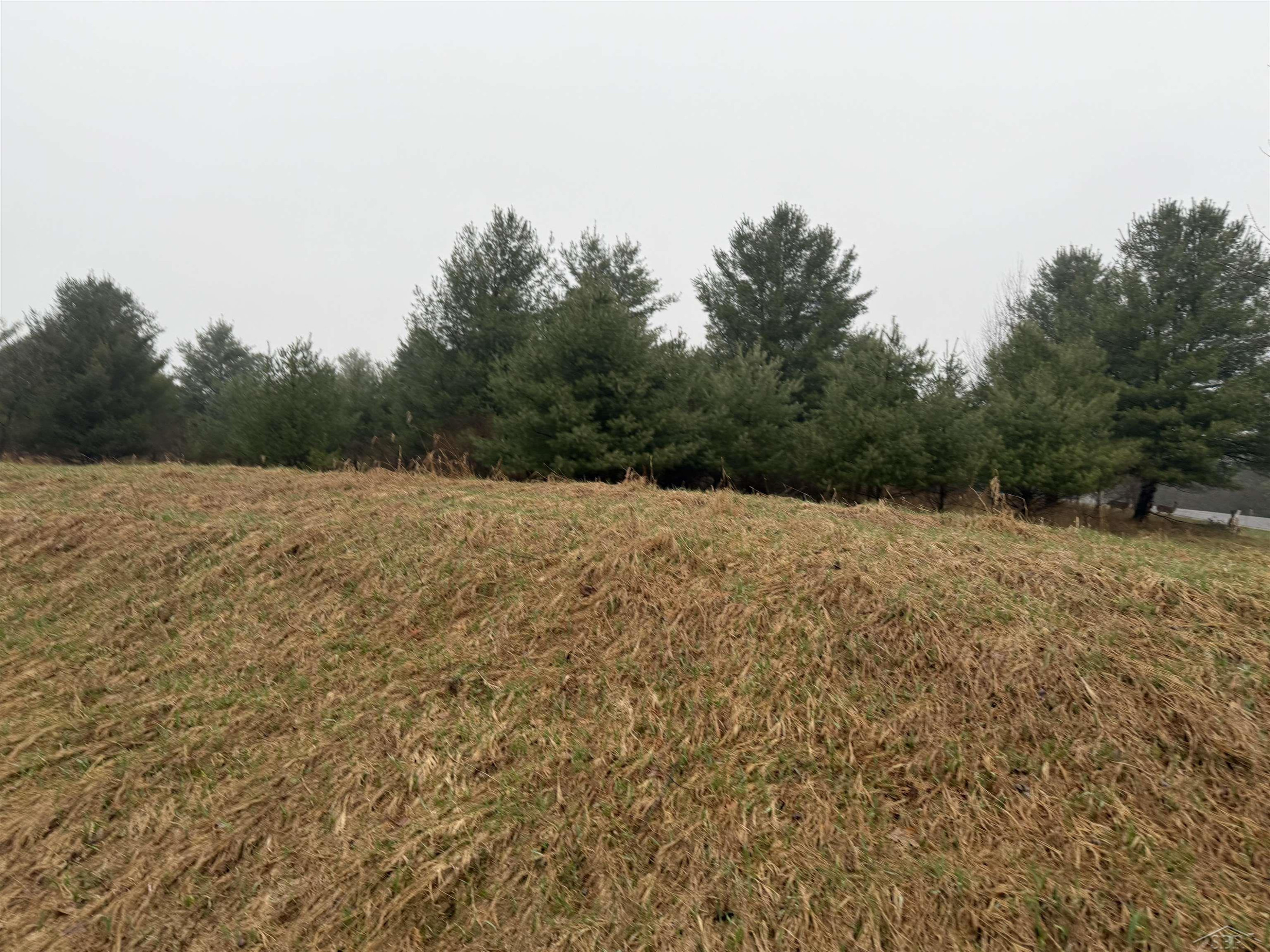 Track Iron Trail, Gladwin, MI 48624 — Photo 11