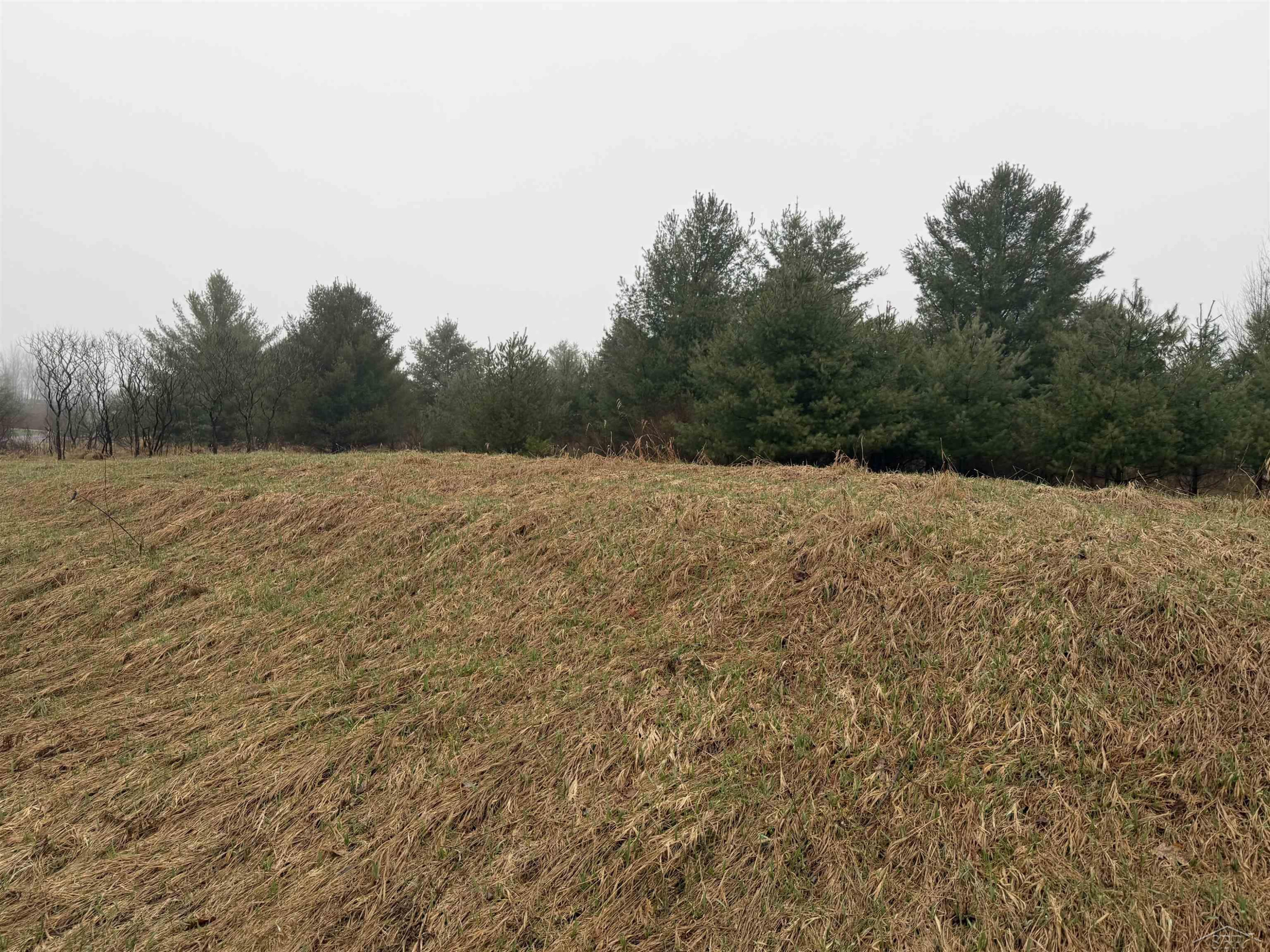 Track Iron Trail, Gladwin, MI 48624 — Photo 12
