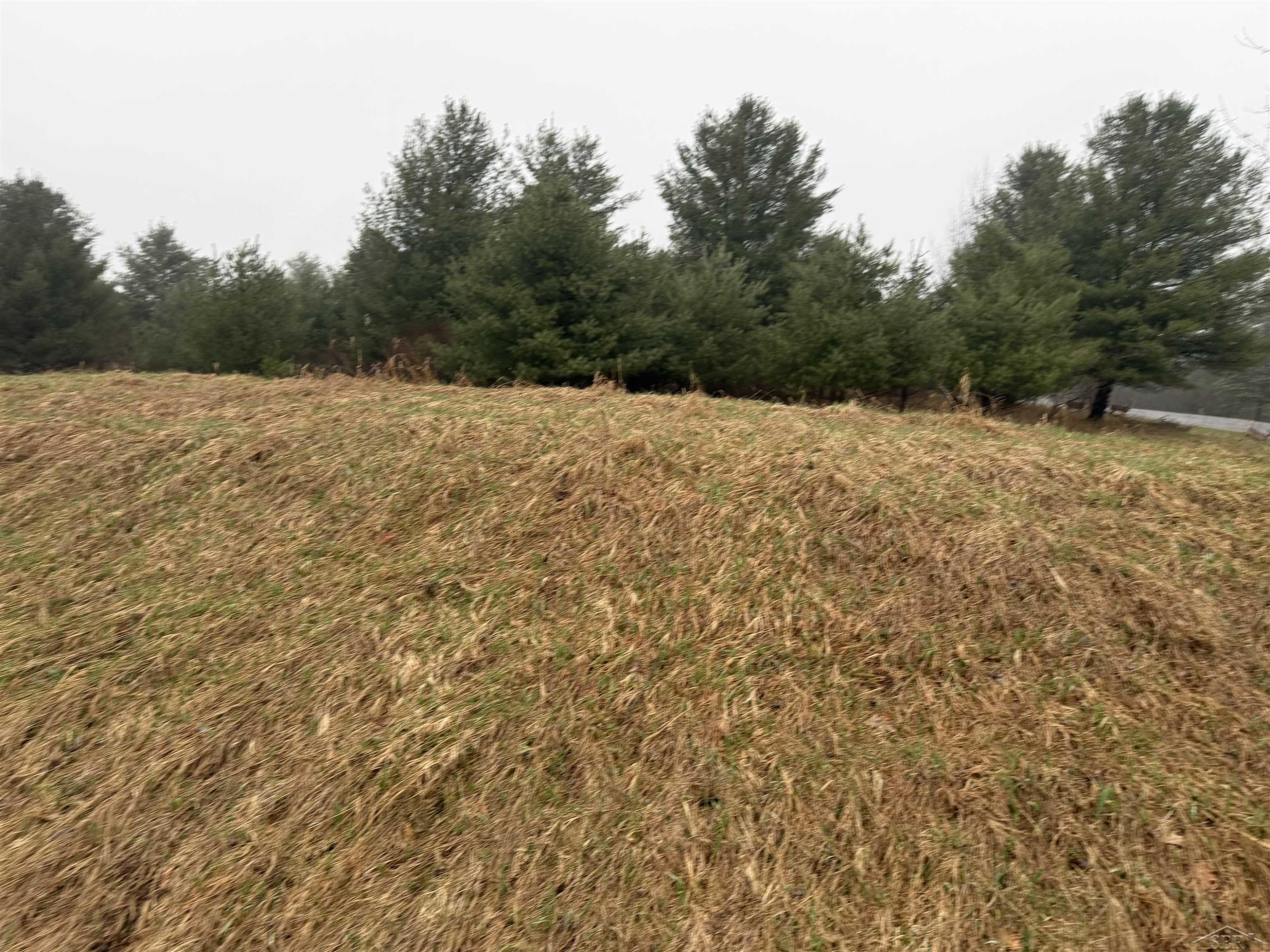 Track Iron Trail, Gladwin, MI 48624 — Photo 13