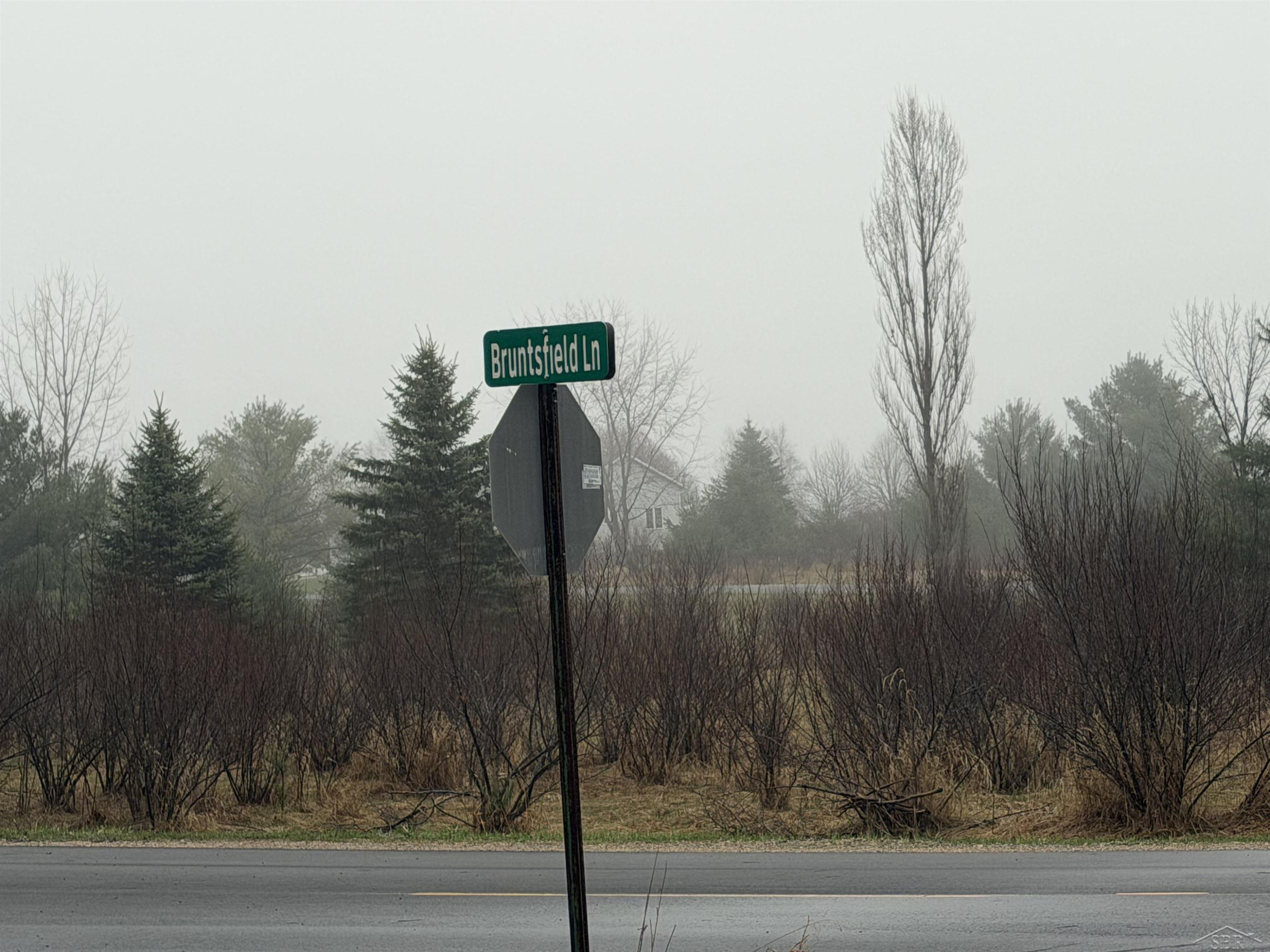 Track Iron Trail, Gladwin, MI 48624 — Photo 4
