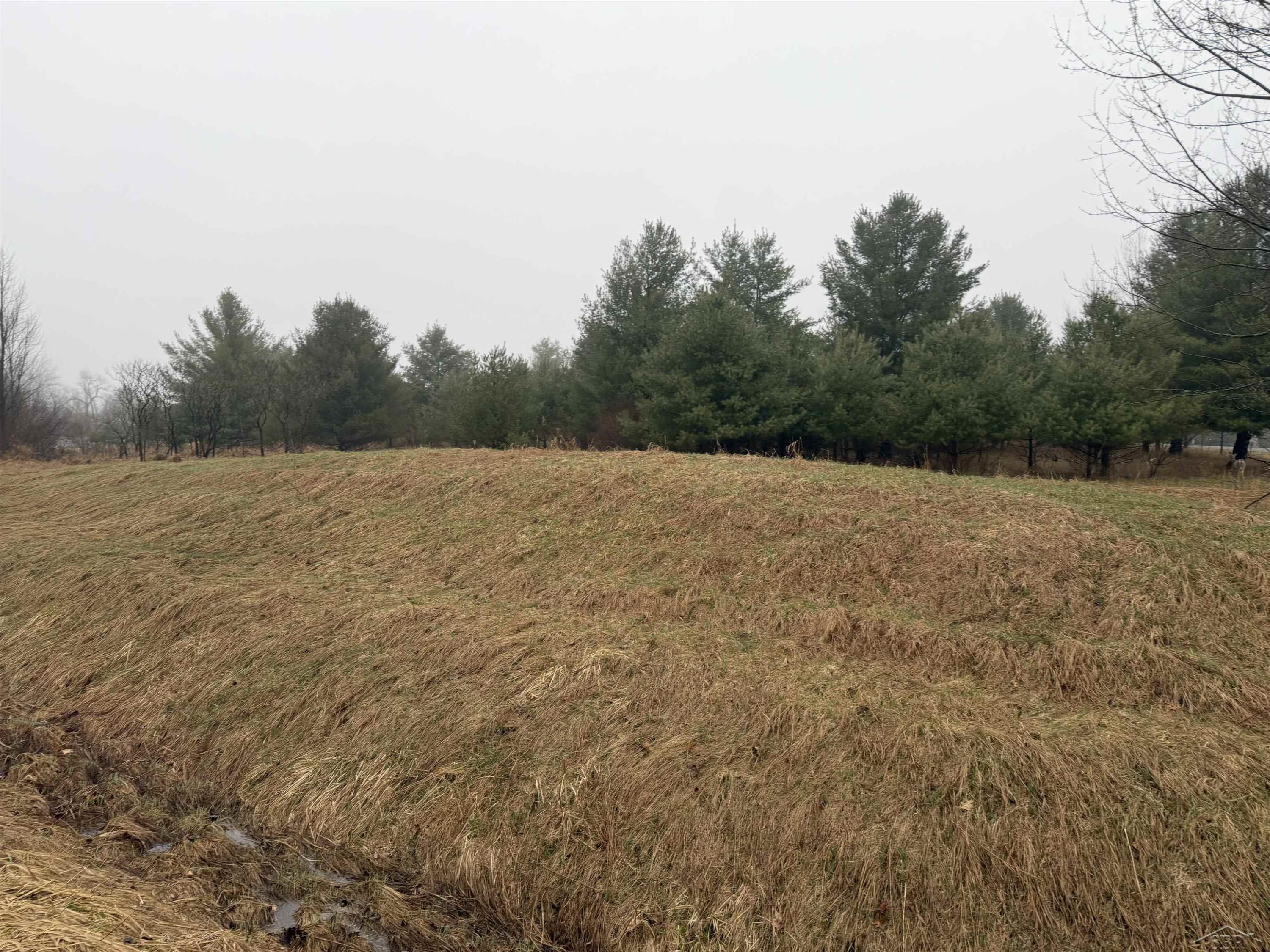 Track Iron Trail, Gladwin, MI 48624 — Photo 5