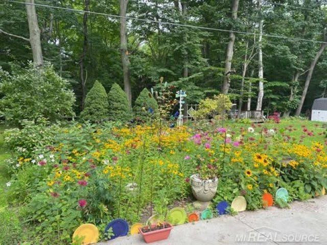 3390 OLD ORCHARD Lane, Lexington, MI 48450 — Photo 40