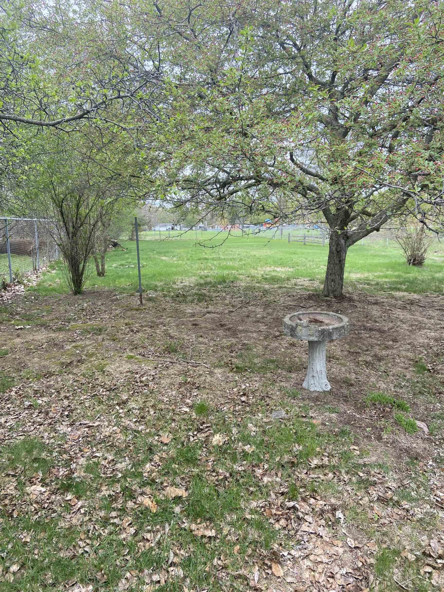 301 Waldo Avenue, Midland, MI 48642 — Photo 7