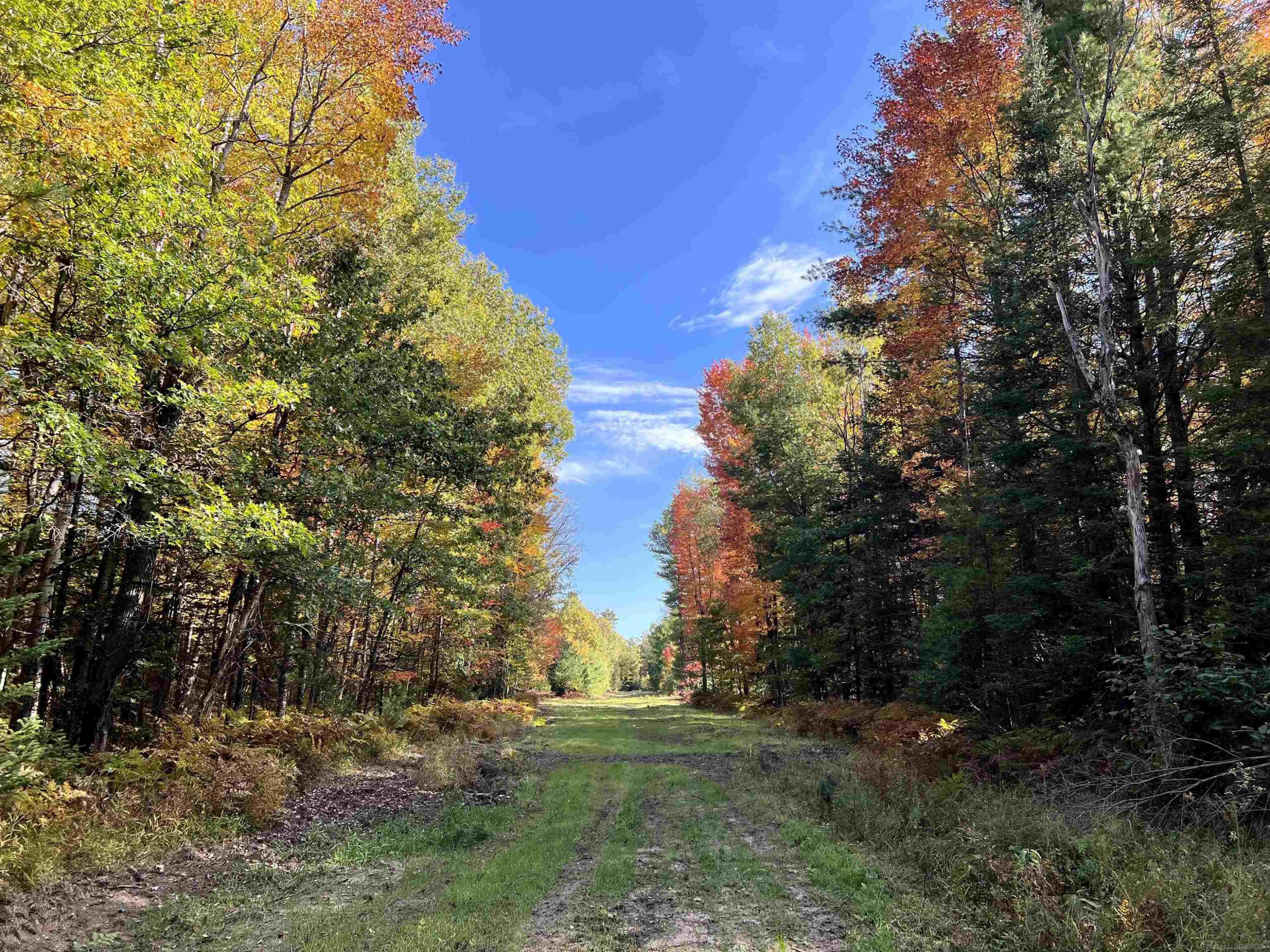 11581 Billman Rd Road, Roscommon, MI 48653 — Photo 26