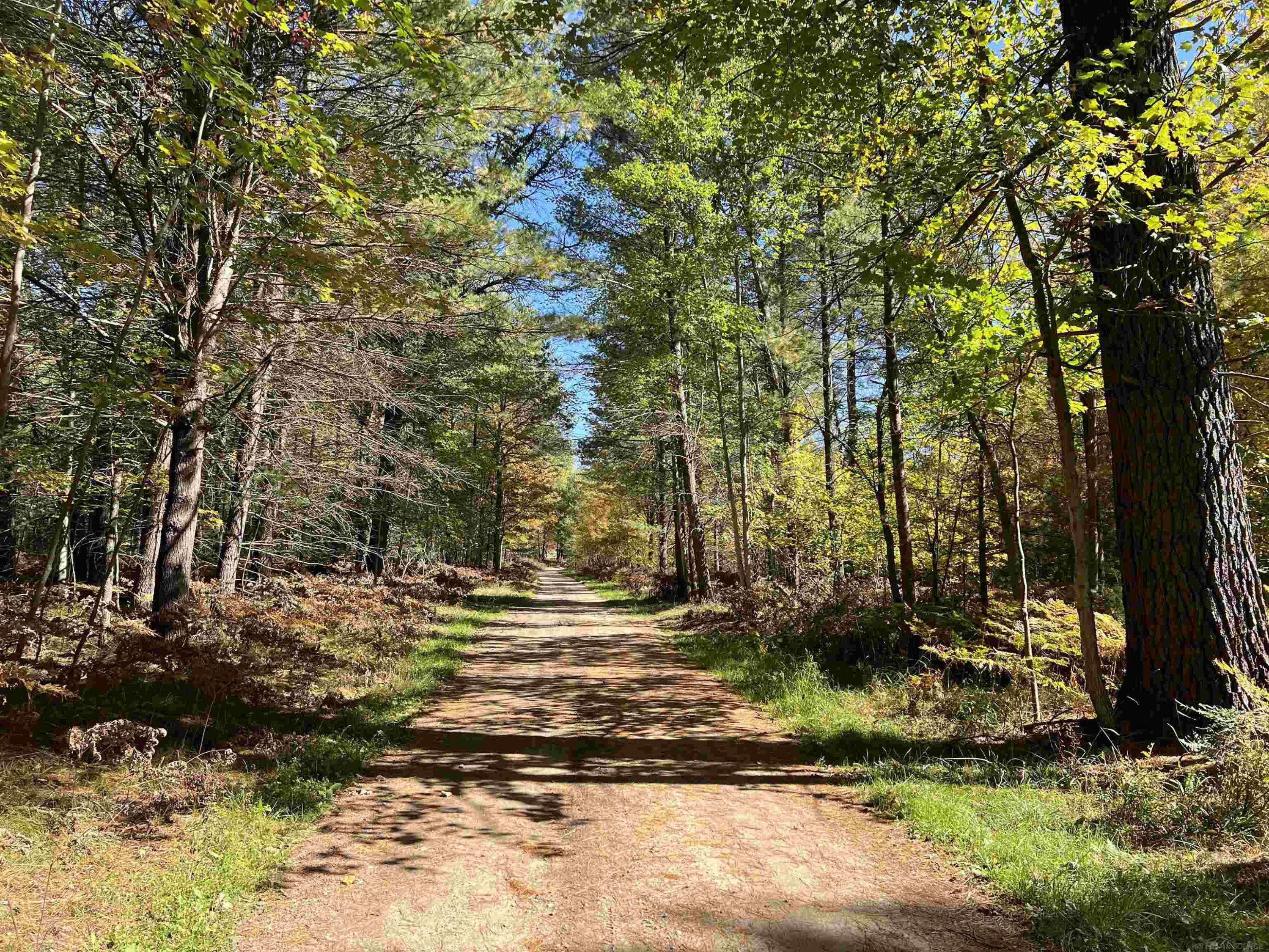 11581 Billman Rd Road, Roscommon, MI 48653 — Photo 27