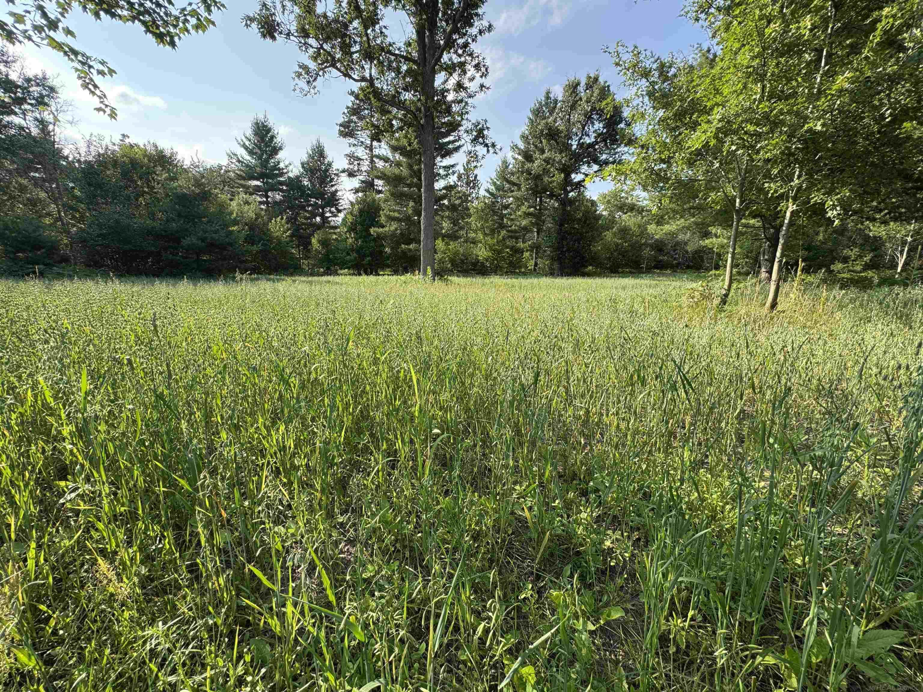 11581 Billman Rd Road, Roscommon, MI 48653 — Photo 30