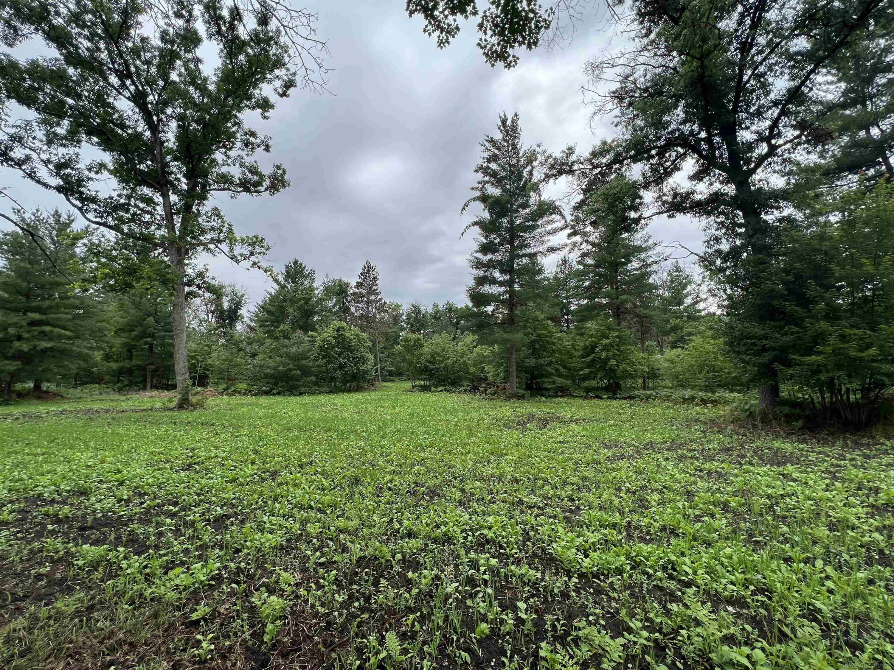 11581 Billman Rd Road, Roscommon, MI 48653 — Photo 31