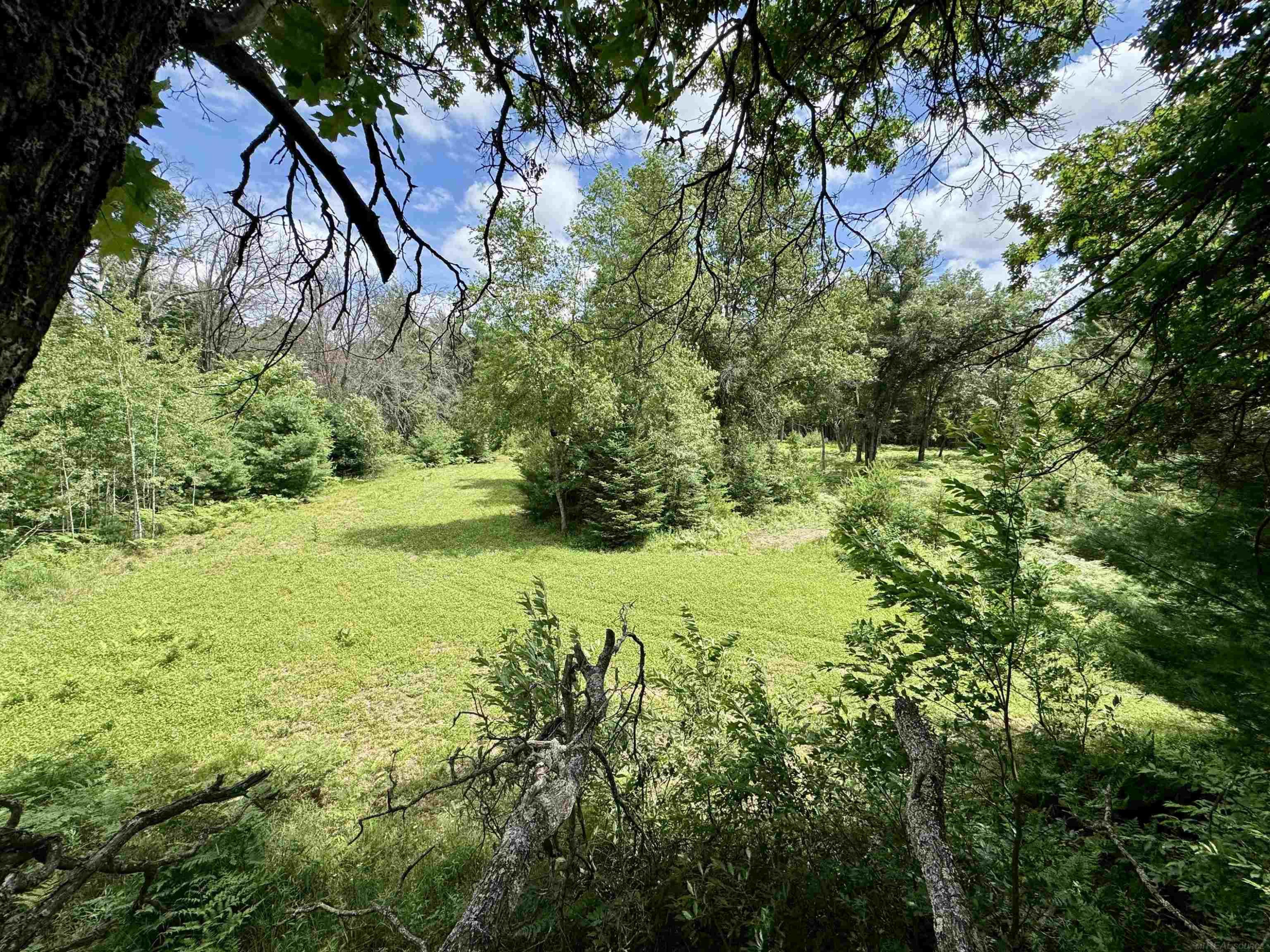 11581 Billman Rd Road, Roscommon, MI 48653 — Photo 37