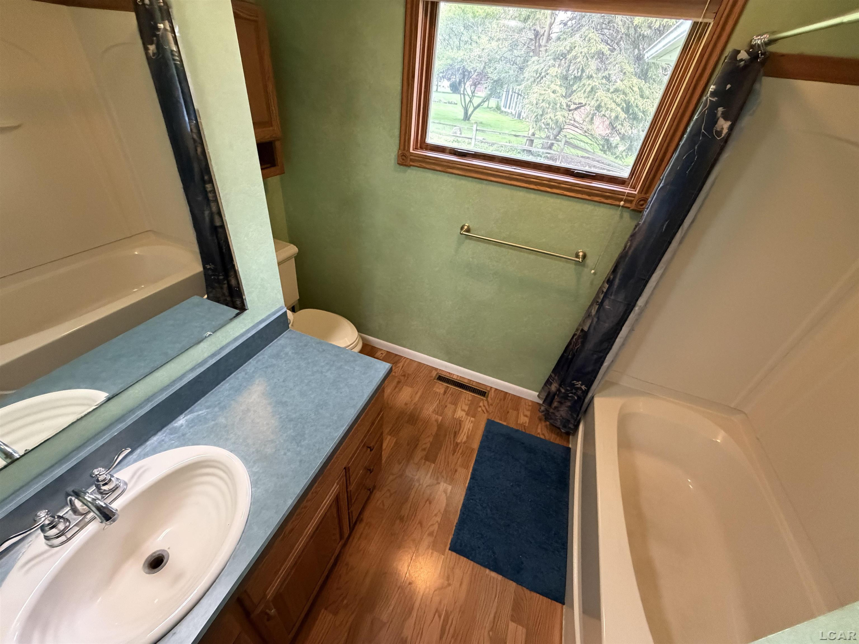 475 N Lane Street, Blissfield, MI 49228 — Photo 14