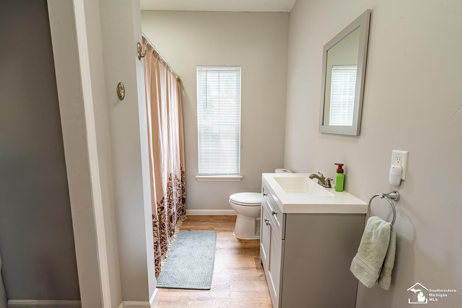 728 Falcon Drive, Dundee, MI 48131 — Photo 19