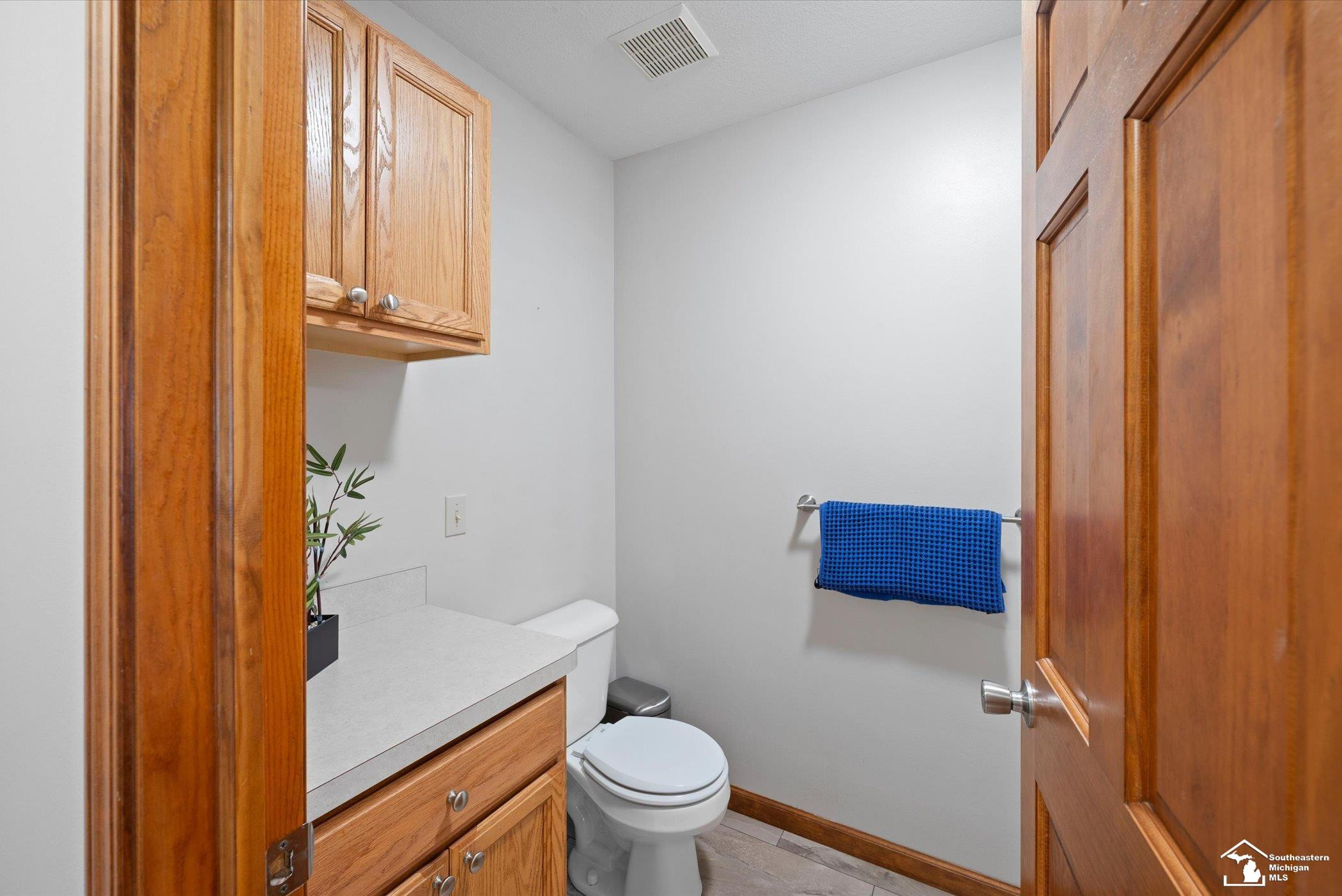 8911 Schroeder Road, Riga, MI 49276 — Photo 28