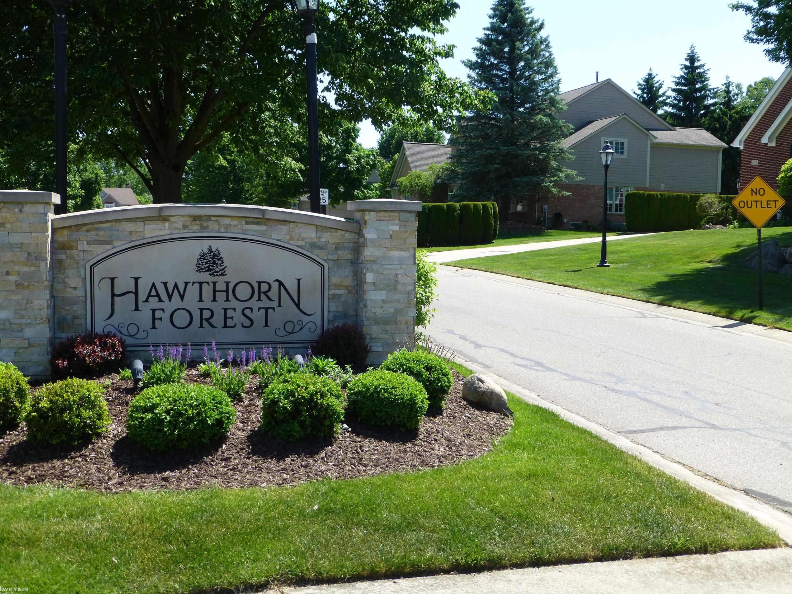 3973 Winslow Drive, Auburn Hills, MI 48326 — Photo 71
