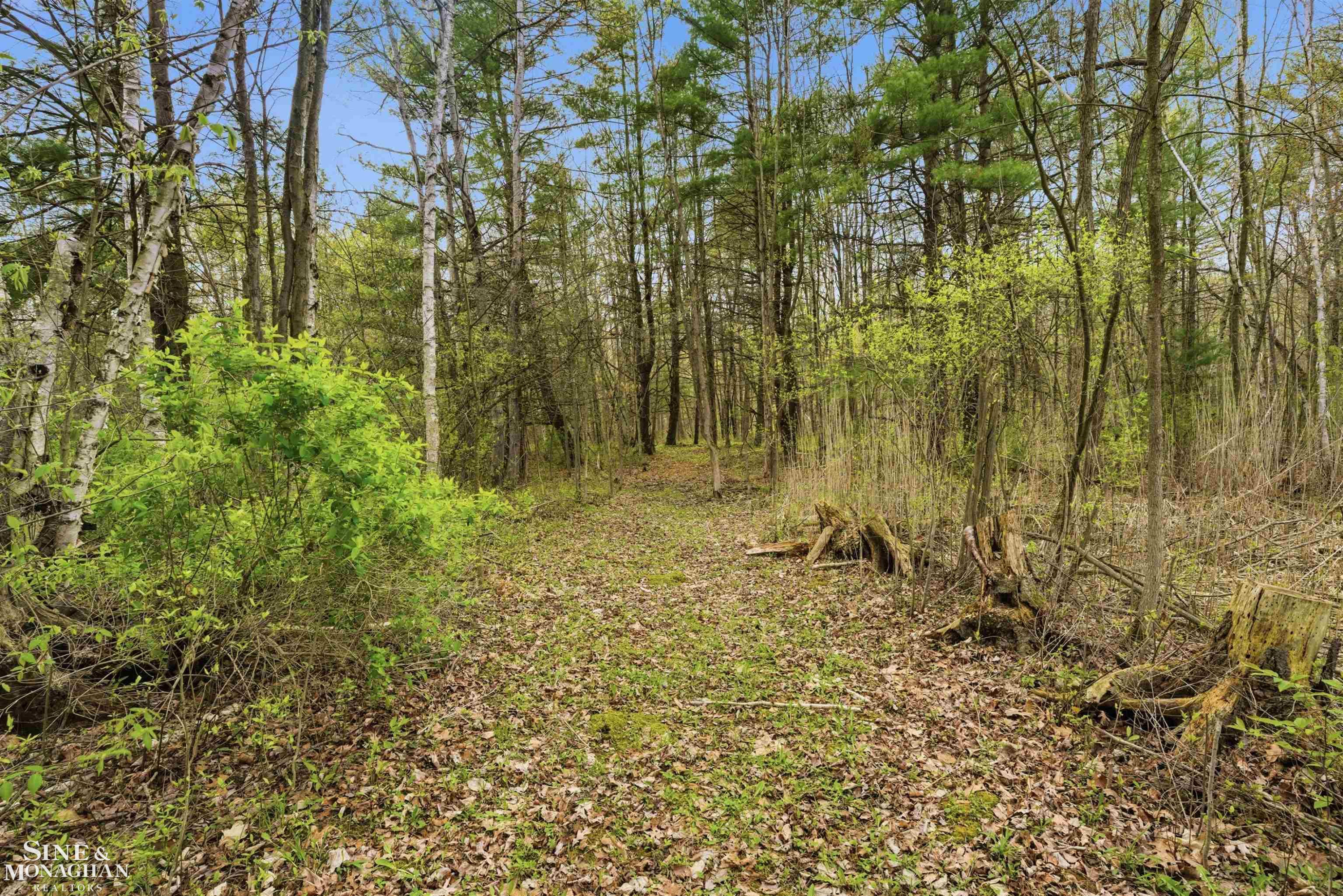 668 S Bartlett Road, MI 48079 — Photo 14