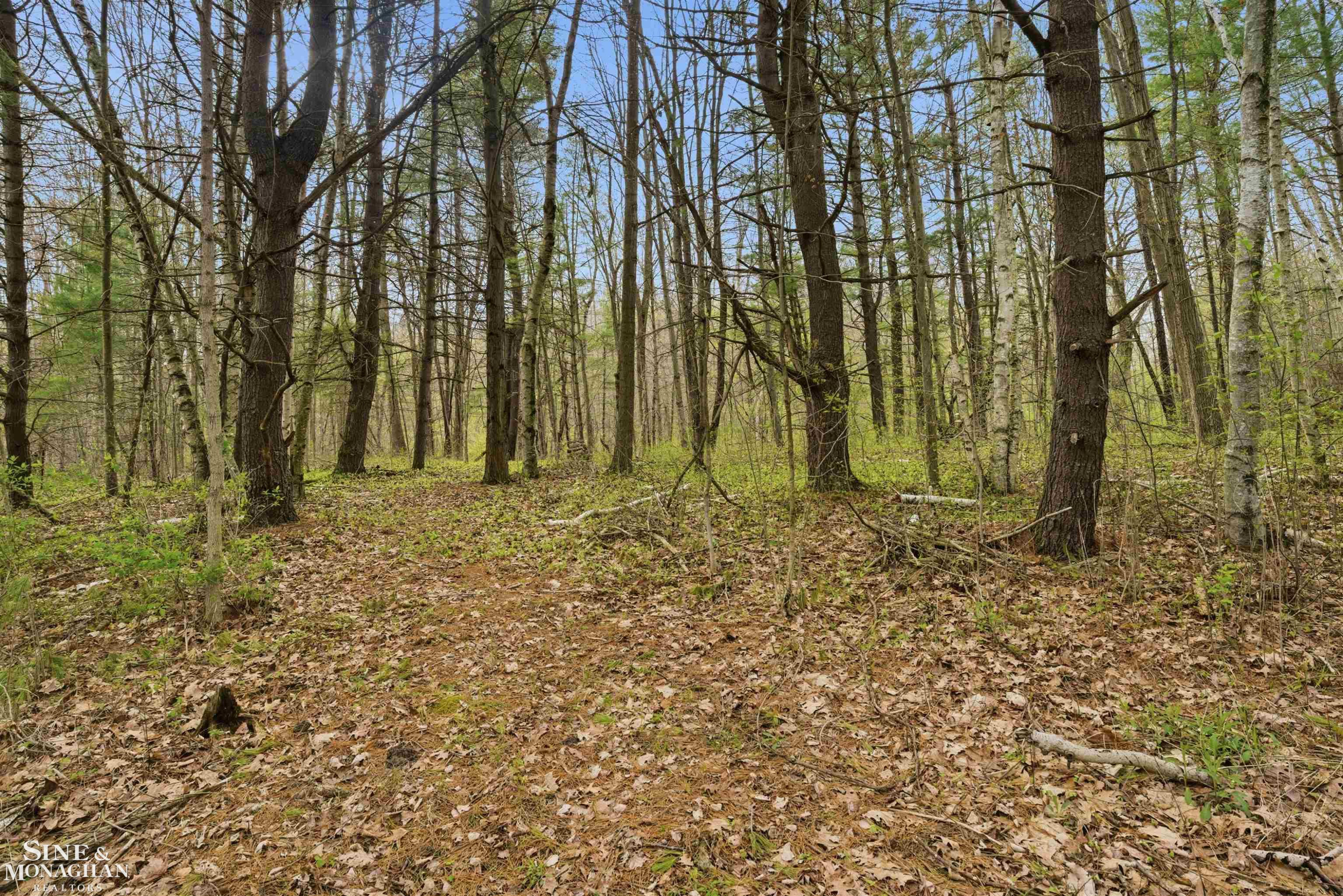 668 S Bartlett Road, MI 48079 — Photo 15