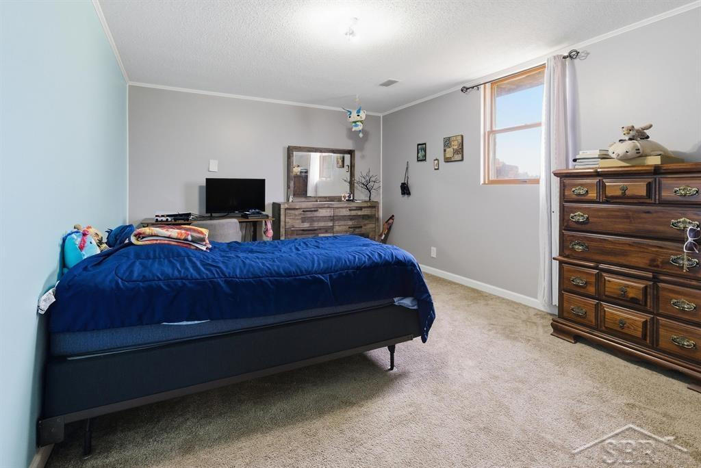 4469 E Millbrook Road, Mount Pleasant, MI 48858 — Photo 20