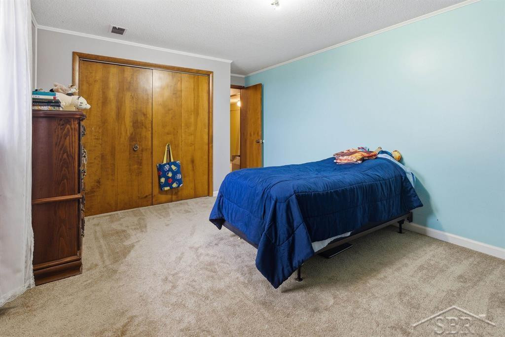 4469 E Millbrook Road, Mount Pleasant, MI 48858 — Photo 21