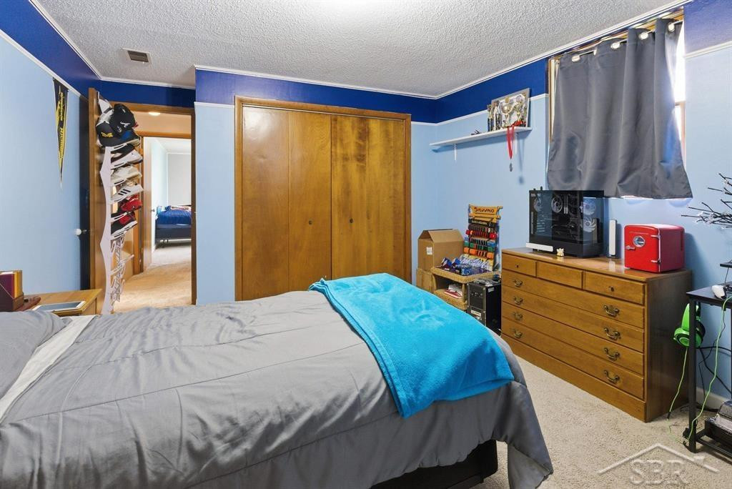 4469 E Millbrook Road, Mount Pleasant, MI 48858 — Photo 23