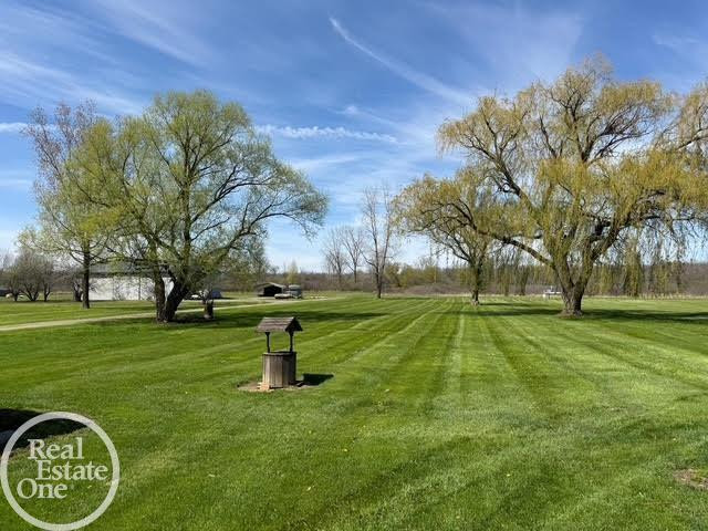 15594 Bryce Road, Capac, MI 48014 — Photo 3